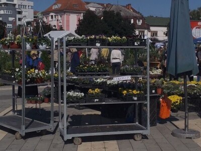 manifestacije Cvetna pijaca i Noćni bazar manifestacije Cvetna pijaca i Noćni bazar