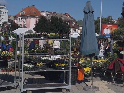 manifestacije Cvetna pijaca i Noćni bazar manifestacije Cvetna pijaca i Noćni bazar