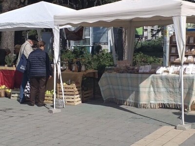 manifestacije Cvetna pijaca i Noćni bazar manifestacije Cvetna pijaca i Noćni bazar