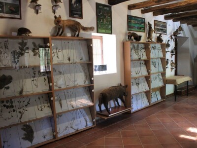 Manstir Sveti Prohor Pčinjski