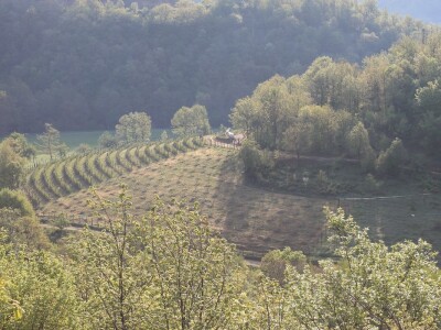 Manstir Sveti Prohor Pčinjski