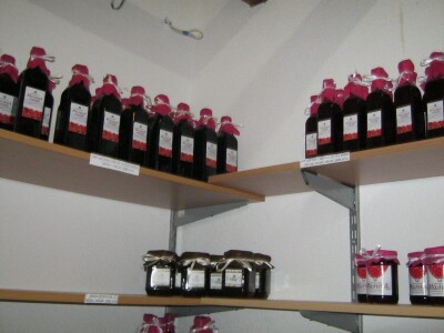 Manstir Sveti Prohor Pčinjski