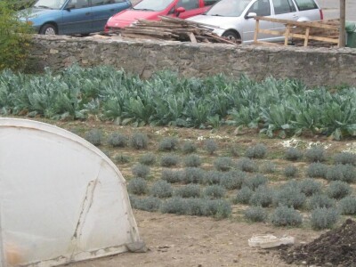 Manstir Sveti Prohor Pčinjski