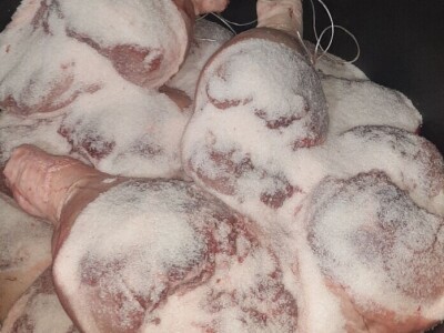 Manufaktura delikatesa