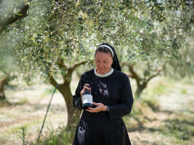 BERBA MASLINA U HERCEGOVINI