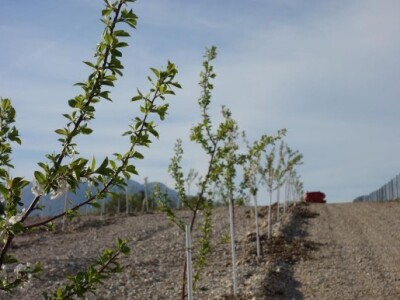 Po četvornom metru minimalna ulaganja iznose 2 eura