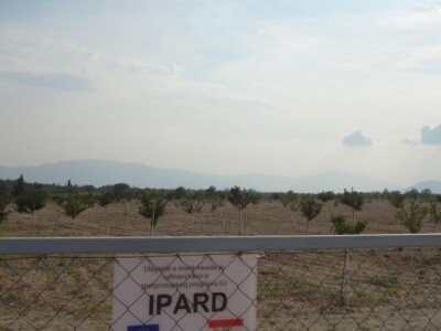 Podizanje nasada uz pomoć IPARD-a