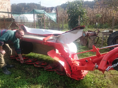 Kosa kupljena novcen EU