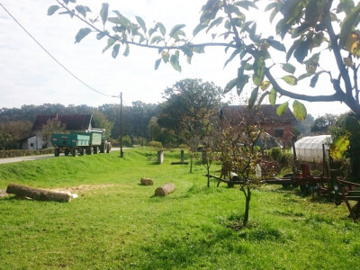 Prikolice spremne za prijevoz kukuruza