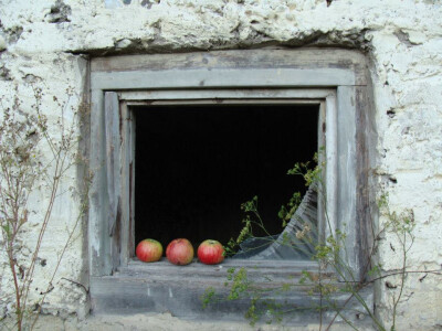 Marieta često fotografija plodove