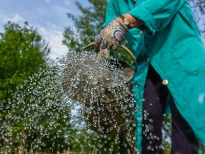 Marija Balog osvojila plastenik u igri #mojepovrće