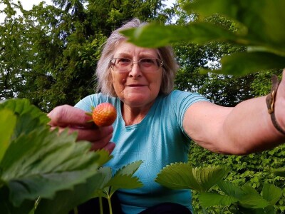 Marija Balog osvojila plastenik u igri #mojepovrće