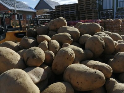 Marija Cafuk u finalu je izbora za najinovativniju poljoprivrednicu