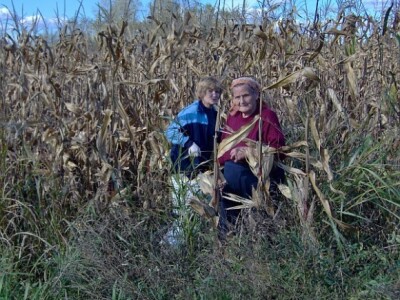 Marija Sabolić sa 78 godina ponovno ručno bere kukuruz