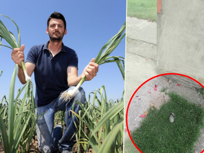 Ostavili mu ručnu bombu u dvorištu