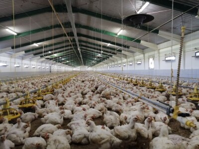 Marijan Škvorc iz Dragoslavec Brega za grijanje farme pilića koristi – ukapljeni naftni plin