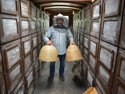 Marijan u pčelarskom kamionu Marijan u pčelarskom kamionu