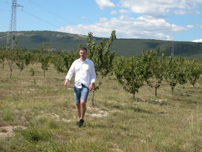 Mladi voćar Vučak i njegov mladi voćnjak  na oplemenjenom dalmatinskom kršu