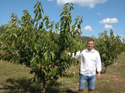 Marijan Vučak na svojoj plantaži u Cisti Velikoj