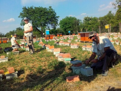 Marin je treća generacija pčelara u obitelji Kovačić Marin je treća generacija pčelara u obitelji Kovačić