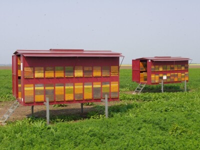 Marin je treća generacija pčelara u obitelji Kovačić Marin je treća generacija pčelara u obitelji Kovačić
