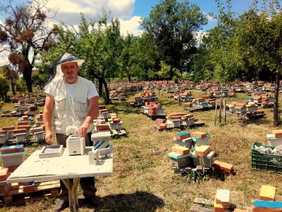 Marin je treća generacija pčelara u obitelji Kovačić Marin je treća generacija pčelara u obitelji Kovačić