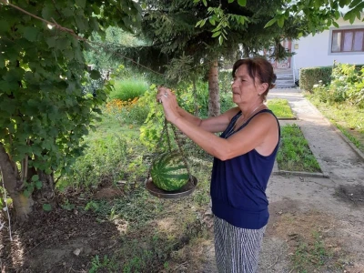 Marina Kostić