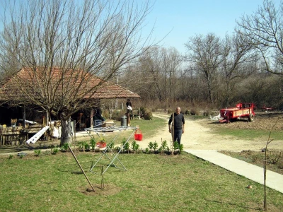 Marjan Manić