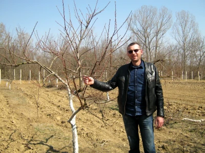 Marjan Manić