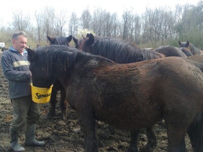Hobi Marjanoviću prerastao u ozbiljan i zahtjevan posao