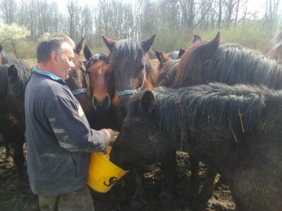 Gužva za zrnje žitarica