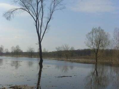 Voda se iz pašnjaka sporo povlači