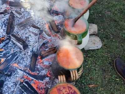 Marko Horvat - grah u loncu