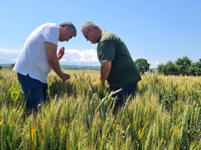 Marko Horvat vjeran je dvjema sortama Marko Horvat vjeran je dvjema sortama