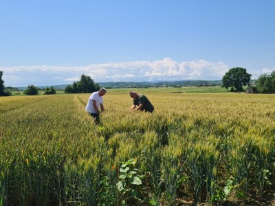Marko Horvat vjeran je dvjema sortama Marko Horvat vjeran je dvjema sortama