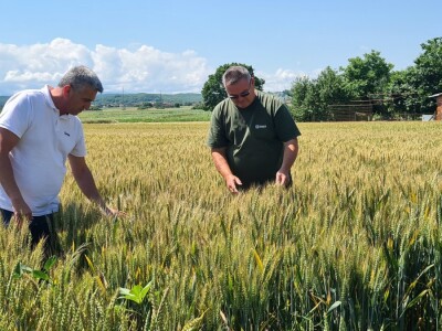 Marko Horvat vjeran je dvjema sortama Marko Horvat vjeran je dvjema sortama