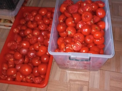 Marko i Dragana Janković: Osim domaćih sokova i džemova, vršimo i usluge cijeđenja voća, te održavanja voćnjaka