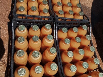 Marko i Dragana Janković: Osim domaćih sokova i džemova, vršimo i usluge cijeđenja voća, te održavanja voćnjaka