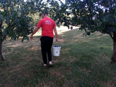 Marko i Dragana Janković: Osim domaćih sokova i džemova, vršimo i usluge cijeđenja voća, te održavanja voćnjaka