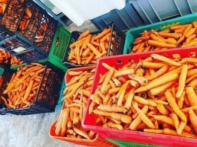 Marko i Dragana Janković: Osim domaćih sokova i džemova, vršimo i usluge cijeđenja voća, te održavanja voćnjaka