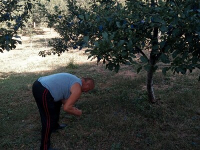 Marko i Dragana Janković: Osim domaćih sokova i džemova, vršimo i usluge cijeđenja voća, te održavanja voćnjaka