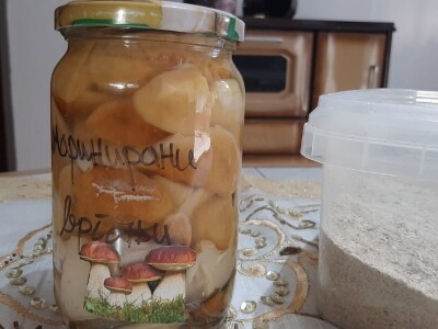 Marko i Jasmina započeli preradu vrganja, foto: M. Lazarević