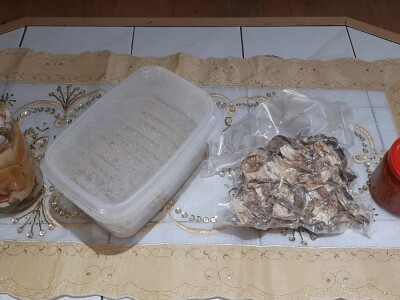 Marko i Jasmina započeli preradu vrganja, foto: M. Lazarević