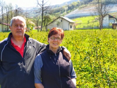 Marko Laco: Od aronije proizvodimo samo sok, ali imamo puno planova