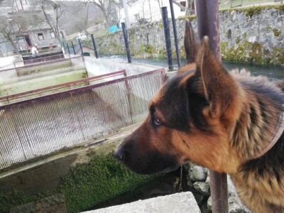 Marko Livajušić: Od hobija do najvećeg ribogojilišta u Gornjem Vakufu- Uskoplju Marko Livajušić: Od hobija do najvećeg ribogojilišta u Gornjem Vakufu- Uskoplju