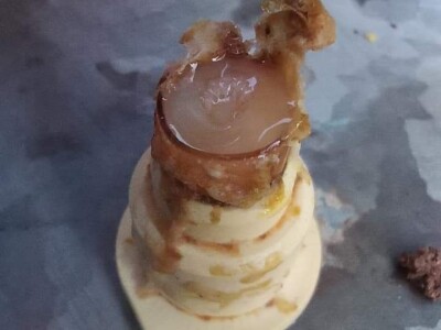 Marko Mašić Oplodna stanica