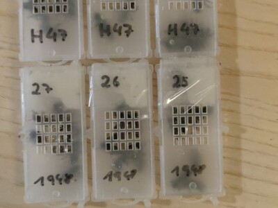 Marko Mašić Oplodna stanica