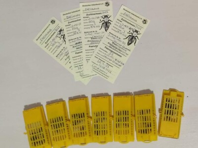 Marko Mašić Oplodna stanica