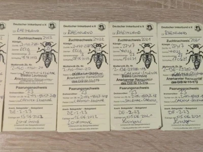 Marko Mašić Oplodna stanica