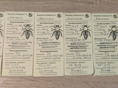 Marko Mašić Oplodna stanica